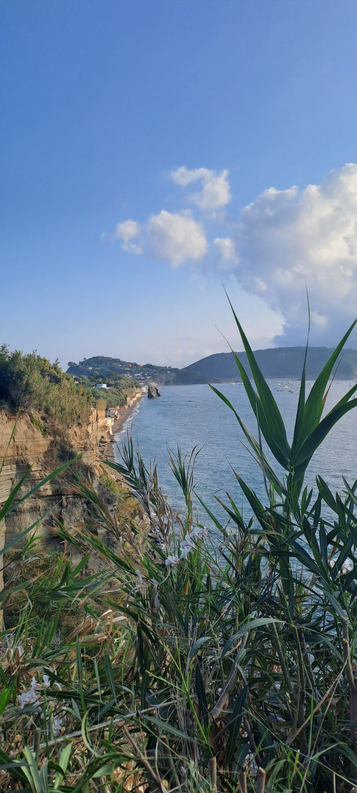 Itinerari tra Arte e Natura - Procida